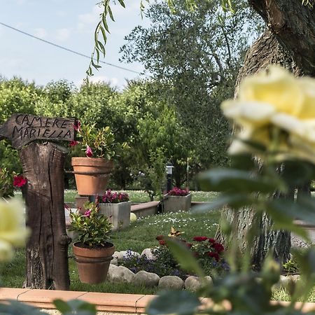 Camere Mariella Асизи Екстериор снимка